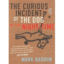 Text Response - The Curious Incident Of The Dog In The Night Time